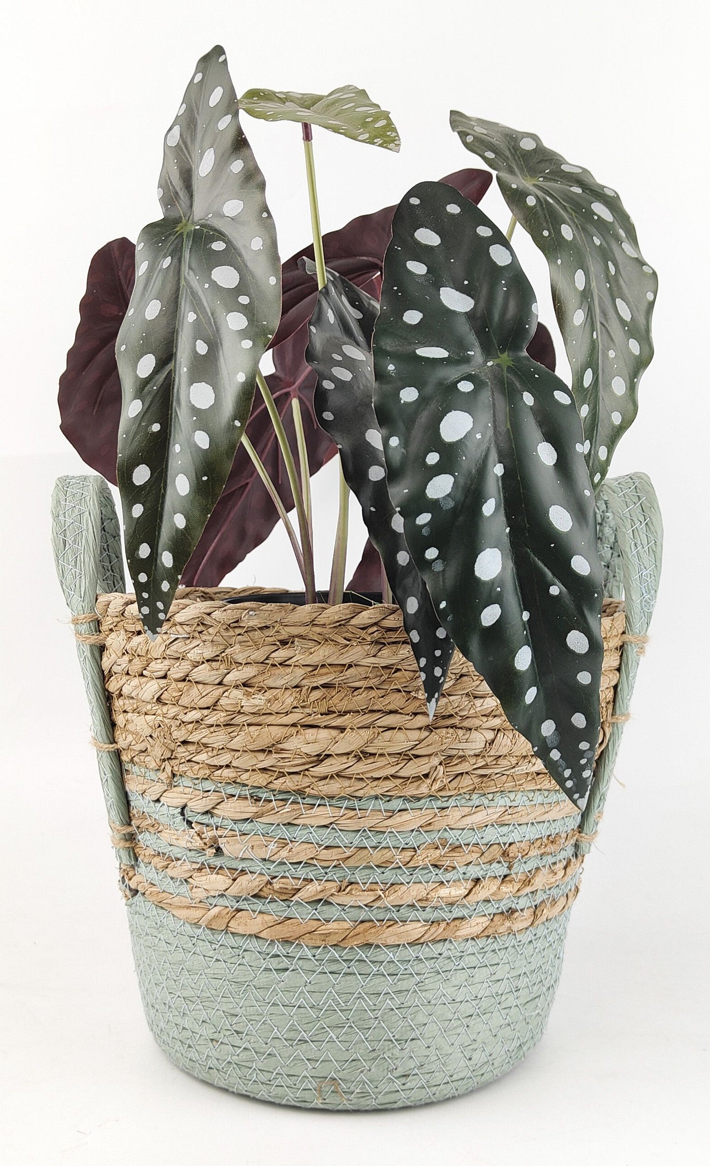 Ratten Basket - Sage