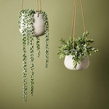 Load image into Gallery viewer, Iosetta Hanging Planter
