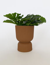 Load image into Gallery viewer, Brooklyn Abstract Planter Terracotta
